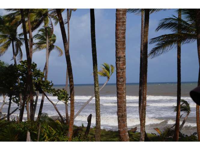 VENTA TERRENO DE 1100 HECTARIAS COSTA ABAJO DE COLÓN - PANAMÁ