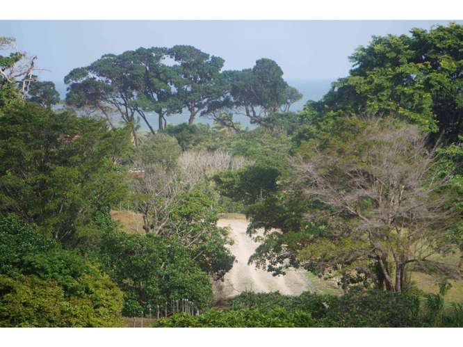 VENTA TERRENO DE 1100 HECTARIAS COSTA ABAJO DE COLÓN - PANAMÁ