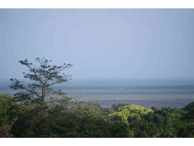 VENTA TERRENO DE 1100 HECTARIAS COSTA ABAJO DE COLÓN - PANAMÁ