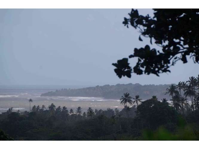 VENTA TERRENO DE 1100 HECTARIAS COSTA ABAJO DE COLÓN - PANAMÁ
