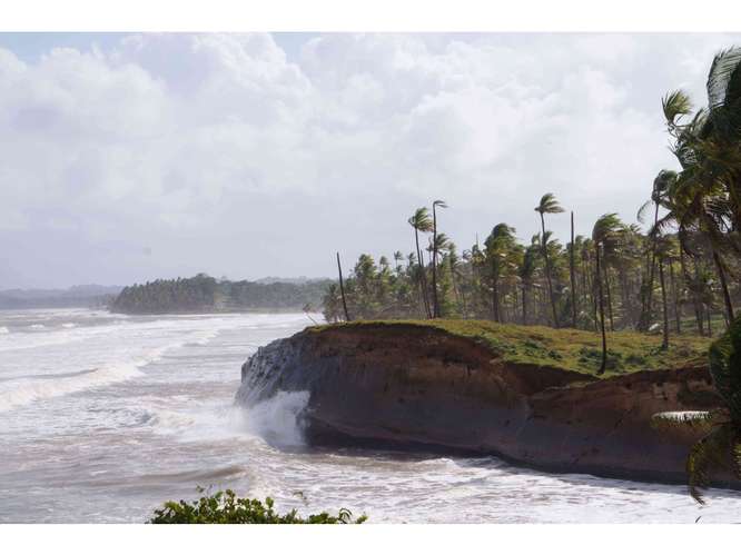 VENTA TERRENO DE 1100 HECTARIAS COSTA ABAJO DE COLÓN - PANAMÁ