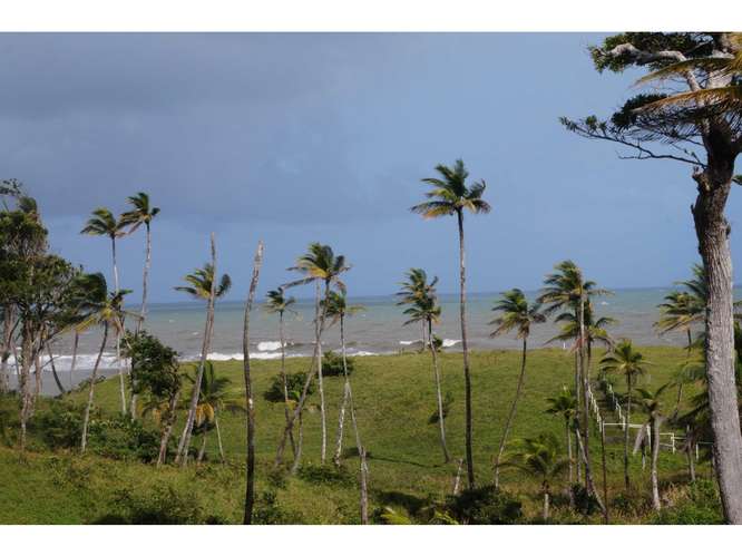 VENTA TERRENO DE 1100 HECTARIAS COSTA ABAJO DE COLÓN - PANAMÁ