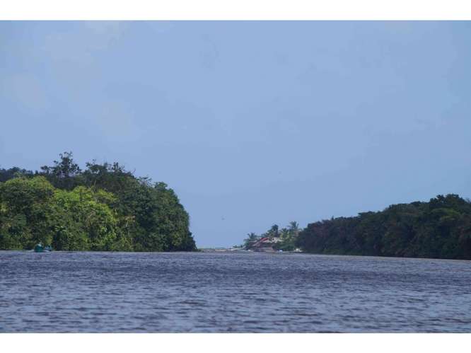 VENTA TERRENO DE 1100 HECTARIAS COSTA ABAJO DE COLÓN - PANAMÁ