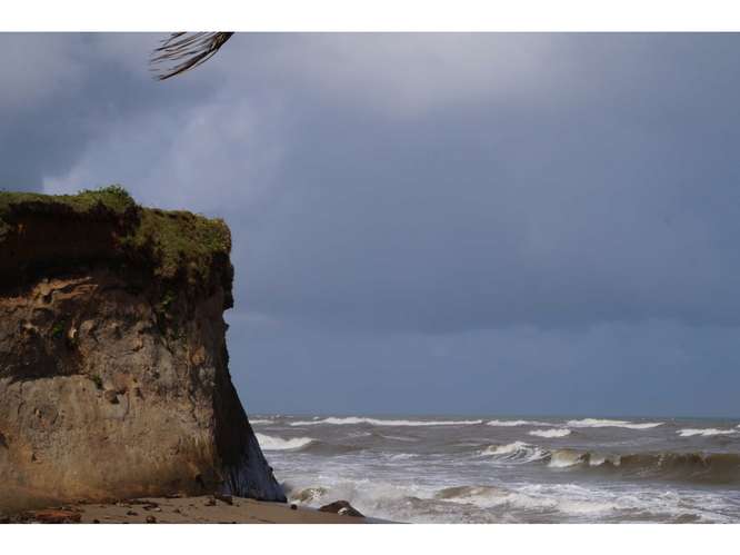 VENTA TERRENO DE 1100 HECTARIAS COSTA ABAJO DE COLÓN - PANAMÁ