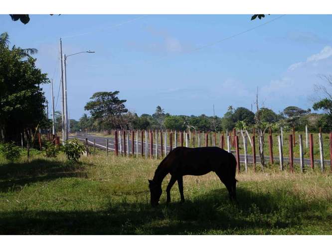VENTA TERRENO DE 1100 HECTARIAS COSTA ABAJO DE COLÓN - PANAMÁ