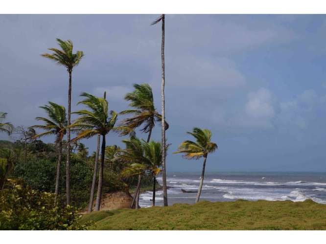 VENTA TERRENO DE 1100 HECTARIAS COSTA ABAJO DE COLÓN - PANAMÁ