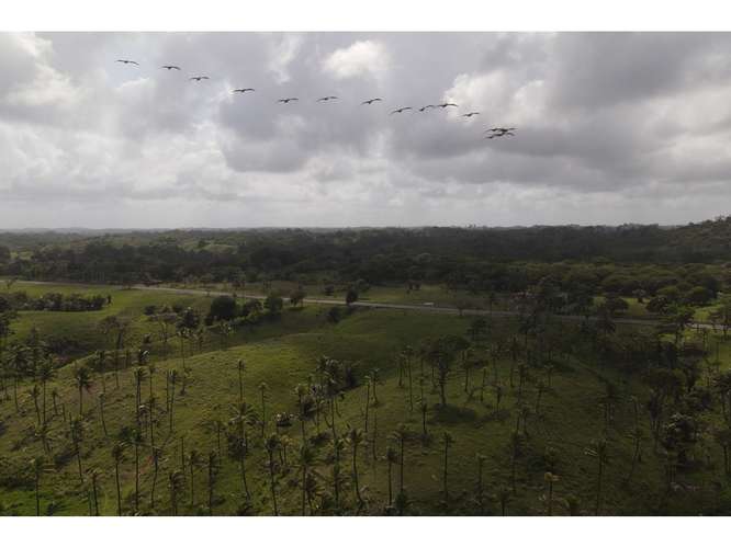 VENTA TERRENO DE 1100 HECTARIAS COSTA ABAJO DE COLÓN - PANAMÁ