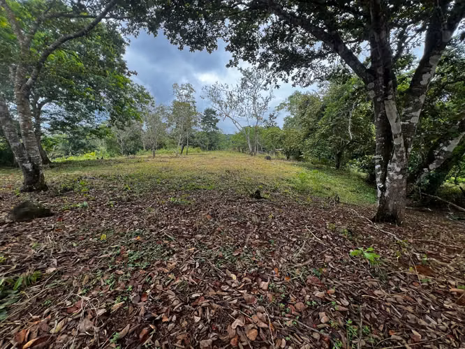 VENTA DE TERRENO DE 4,200 M² EN EL COCO, LA CHORRERA – EXCELENTE OPORTUNIDAD (OR) - Imagen 5