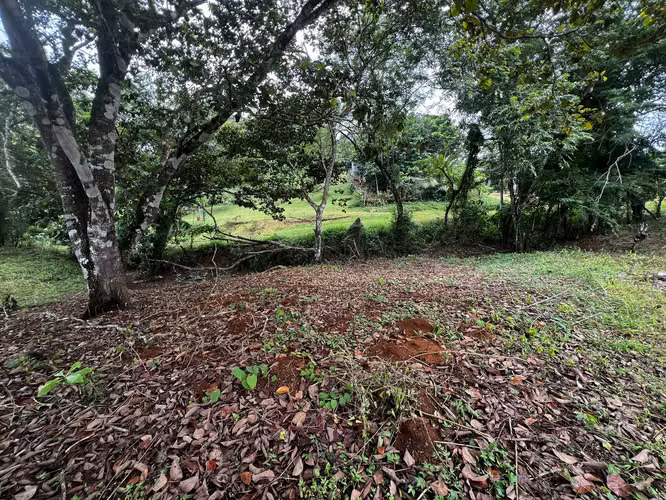 VENTA DE TERRENO DE 4,200 M² EN EL COCO, LA CHORRERA – EXCELENTE OPORTUNIDAD (OR) - Imagen 3