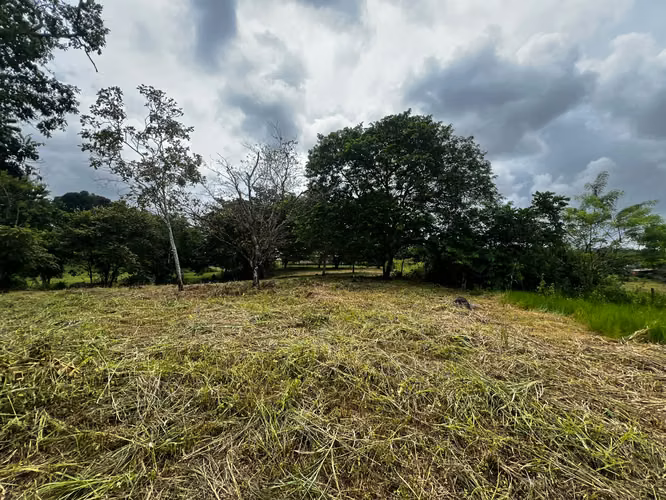 VENTA DE TERRENO DE 4,200 M² EN EL COCO, LA CHORRERA – EXCELENTE OPORTUNIDAD (OR) - Imagen 2