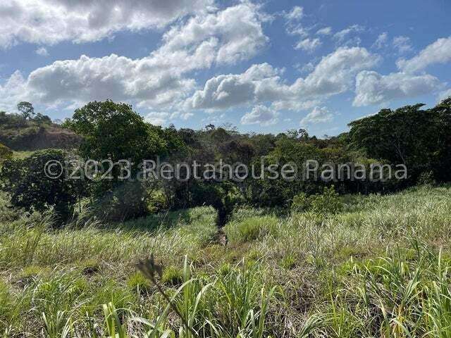 Venta de Terreno en Arraijan MCD27-2401 - Imagen 9