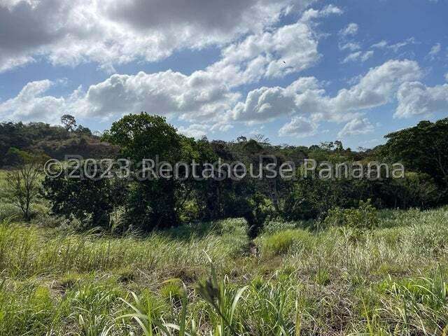 Venta de Terreno en Arraijan MCD27-2401 - Imagen 5