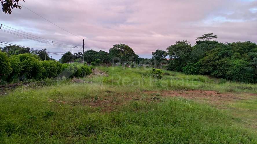 Venta de Terreno en Puerto Caimito, La Chorrera - Imagen 3