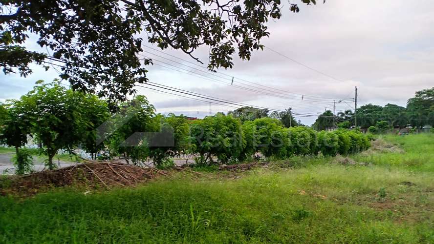 Venta de Terreno en Puerto Caimito, La Chorrera - Imagen 6