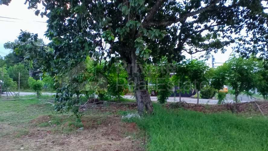 Venta de Terreno en Puerto Caimito, La Chorrera - Imagen 5