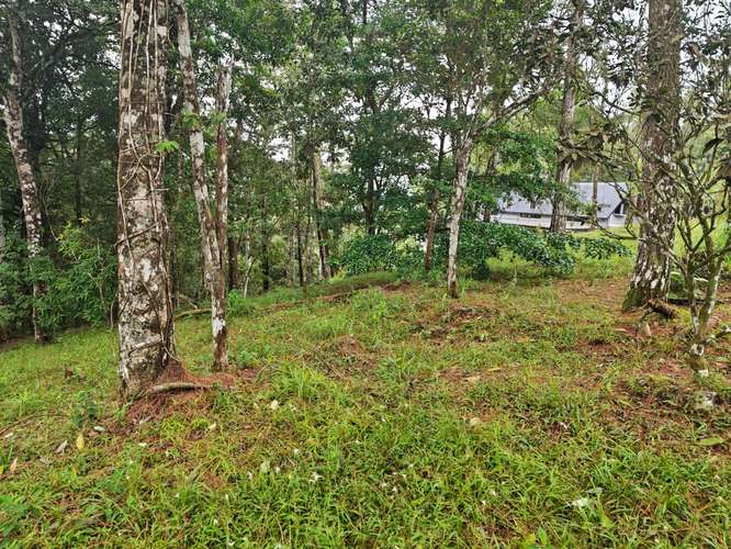 VENTA DE TERRENOS 3,200 mts2–LAS.NUBES CERRO AZUL - Imagen 9