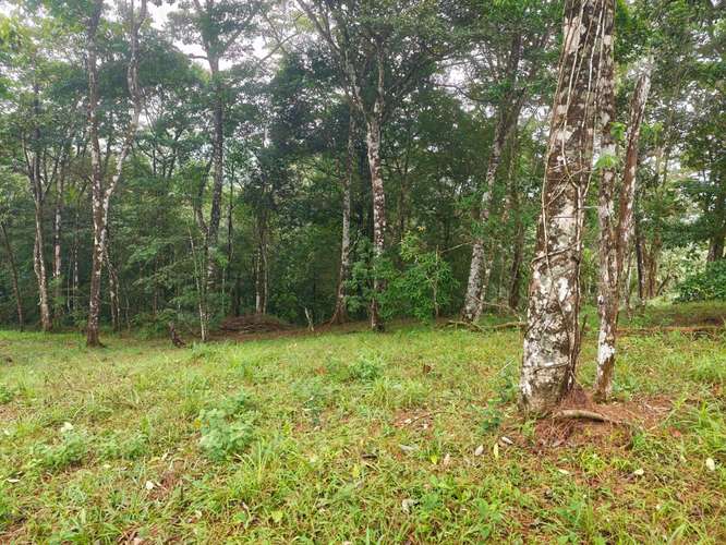 VENTA DE TERRENOS 3,200 mts2–LAS.NUBES CERRO AZUL - Imagen 7