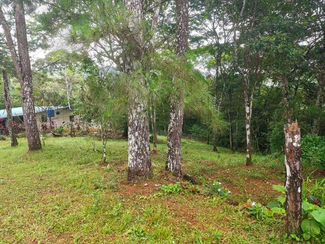 VENTA DE TERRENOS 3,200 mts2–LAS.NUBES CERRO AZUL - Imagen 11