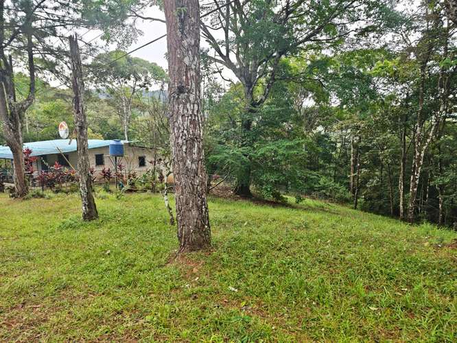 VENTA DE TERRENOS 3,200 mts2–LAS.NUBES CERRO AZUL - Imagen 5