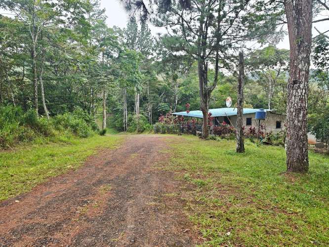 VENTA DE TERRENOS 3,200 mts2–LAS.NUBES CERRO AZUL - Imagen 2