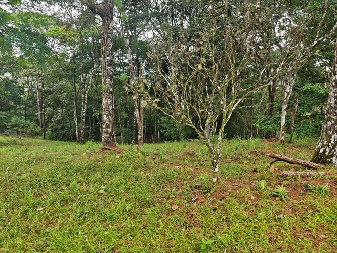 VENTA DE TERRENOS 3,200 mts2–LAS.NUBES CERRO AZUL - Imagen 4