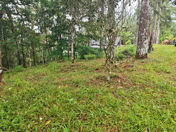 VENTA DE TERRENOS 3,200 mts2–LAS.NUBES CERRO AZUL - Imagen 13