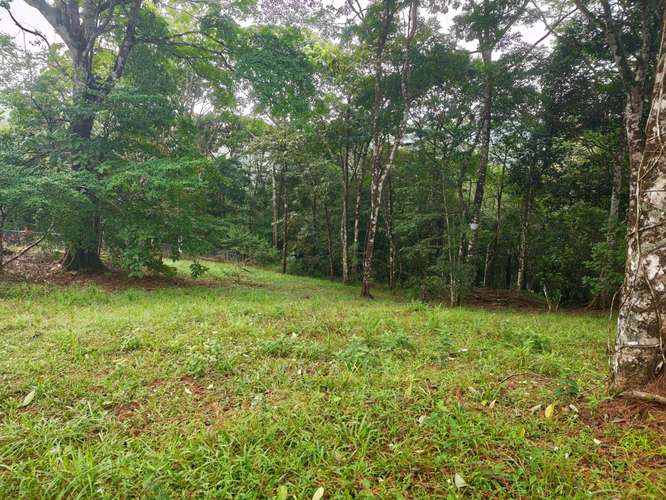 VENTA DE TERRENOS 3,200 mts2–LAS.NUBES CERRO AZUL - Imagen 3