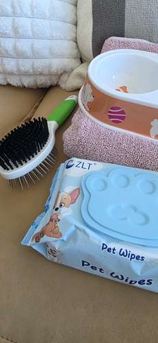 Kit de poco uso para perrit@ de hasta 8 meses - Imagen 2