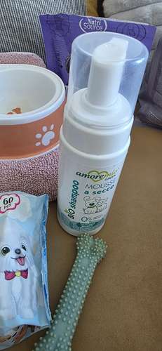 Kit de poco uso para perrit@ de hasta 8 meses - Imagen 3