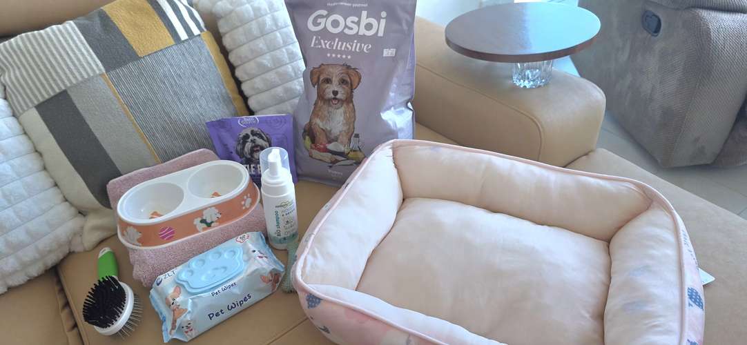 Kit de poco uso para perrit@ de hasta 8 meses - Imagen 1