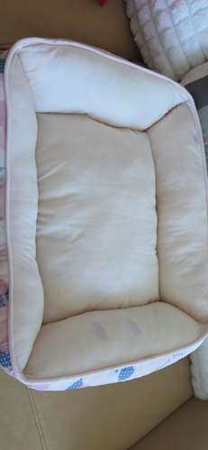 Kit de poco uso para perrit@ de hasta 8 meses - Imagen 6
