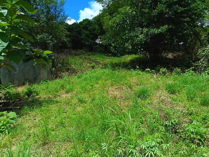 VENDO TERRENO EN MARAÑON VIA SONA SOLO 125MIL - Imagen 4