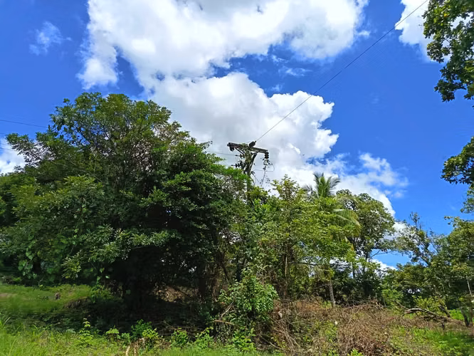 VENDO TERRENO EN MARAÑON VIA SONA SOLO 125MIL - Imagen 11