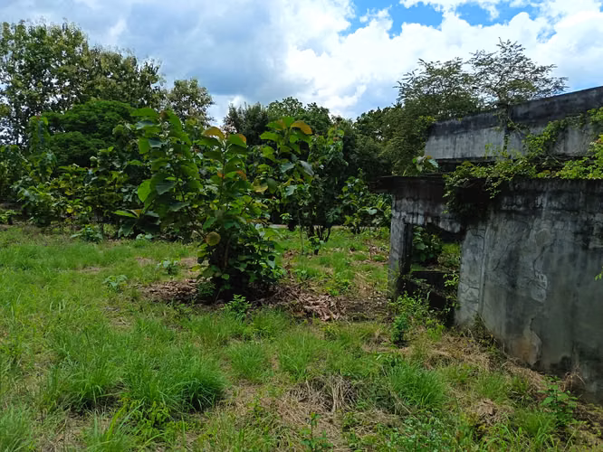 VENDO TERRENO EN MARAÑON VIA SONA SOLO 125MIL - Imagen 16