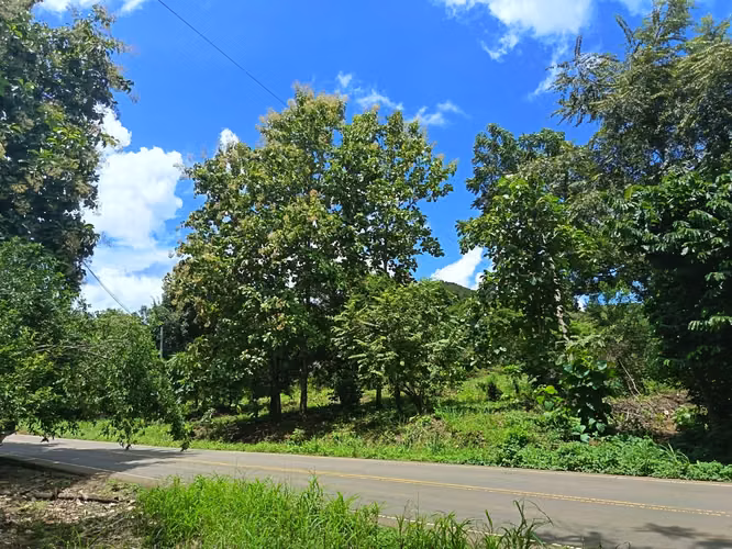VENDO TERRENO EN MARAÑON VIA SONA SOLO 125MIL - Imagen 14