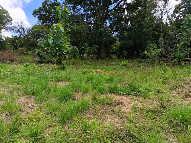 VENDO TERRENO EN MARAÑON VIA SONA SOLO 125MIL - Imagen 10