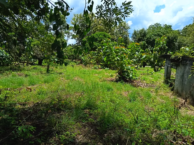VENDO TERRENO EN MARAÑON VIA SONA SOLO 125MIL - Imagen 19