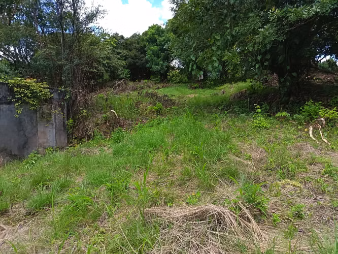 VENDO TERRENO EN MARAÑON VIA SONA SOLO 125MIL - Imagen 2