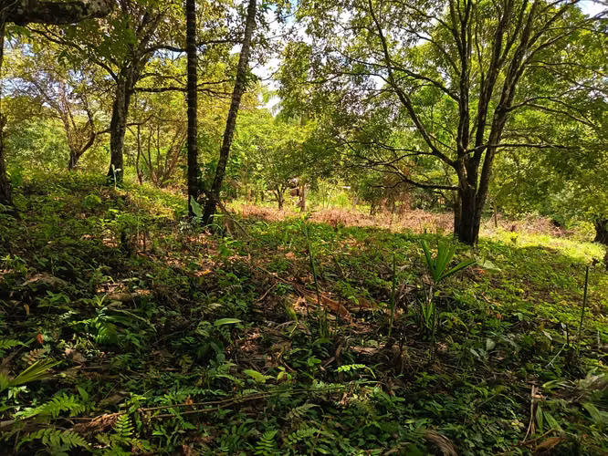 VENDO TERRENO EN MARAÑON VIA SONA SOLO 125MIL - Imagen 17