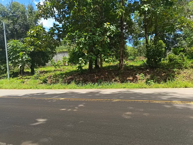 VENDO TERRENO EN MARAÑON VIA SONA SOLO 125MIL