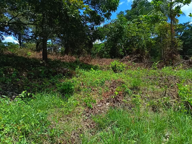VENDO TERRENO EN MARAÑON VIA SONA SOLO 125MIL - Imagen 8