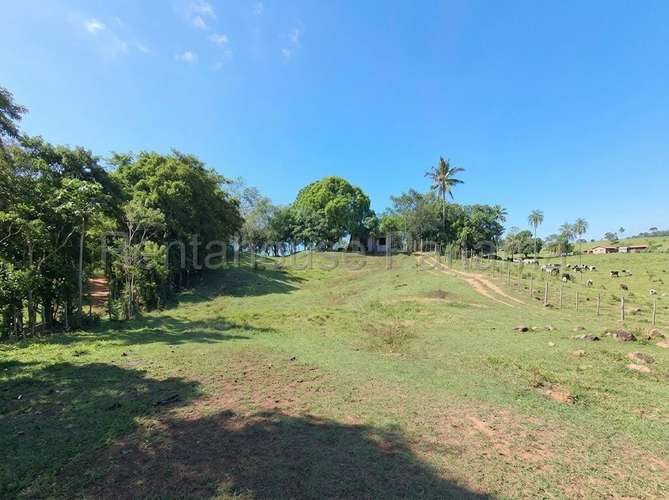 Venta de Terreno en La Villa de los Santos ABS - Imagen 3
