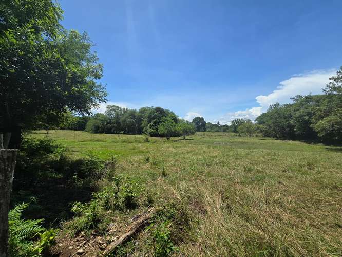 VENTA DE TERRENO DE 4.9 HAS EN EL JAGUITO, COCLE AQ - Imagen 20