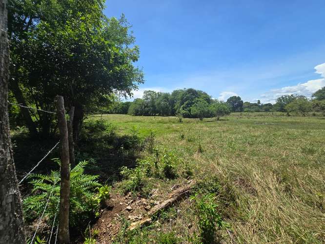 VENTA DE TERRENO DE 4.9 HAS EN EL JAGUITO, COCLE AQ - Imagen 17