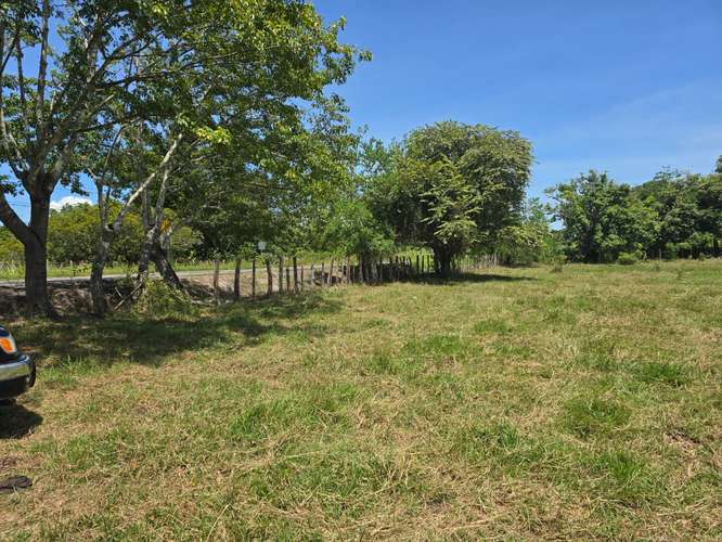 VENTA DE TERRENO DE 4.9 HAS EN EL JAGUITO, COCLE AQ - Imagen 11