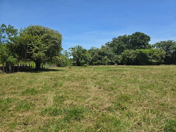 VENTA DE TERRENO DE 4.9 HAS EN EL JAGUITO, COCLE AQ - Imagen 12