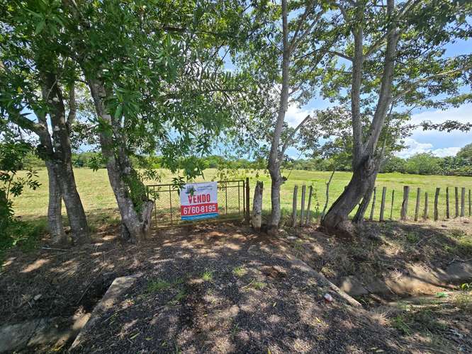 VENTA DE TERRENO DE 4.9 HAS EN EL JAGUITO, COCLE AQ - Imagen 1