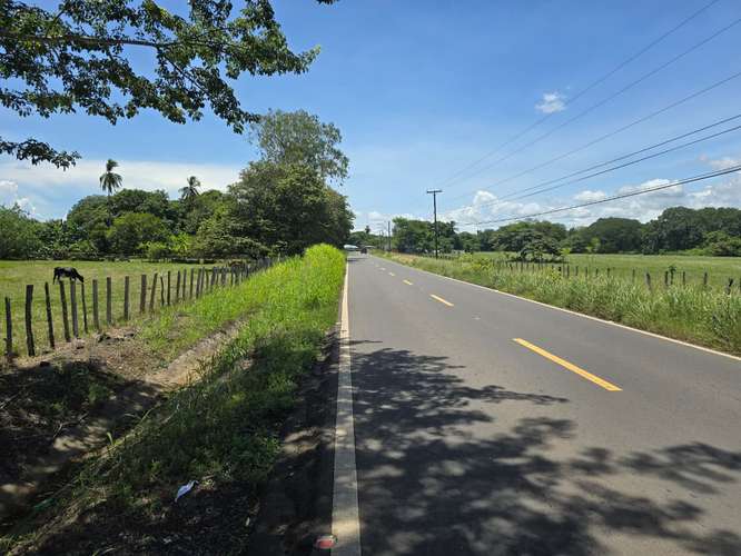 VENTA DE TERRENO DE 4.9 HAS EN EL JAGUITO, COCLE AQ - Imagen 8