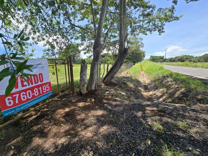 VENTA DE TERRENO DE 4.9 HAS EN EL JAGUITO, COCLE AQ - Imagen 16