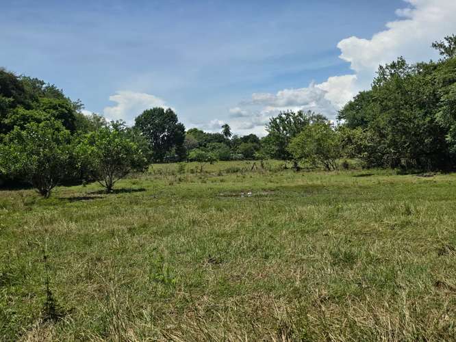 VENTA DE TERRENO DE 4.9 HAS EN EL JAGUITO, COCLE AQ - Imagen 19